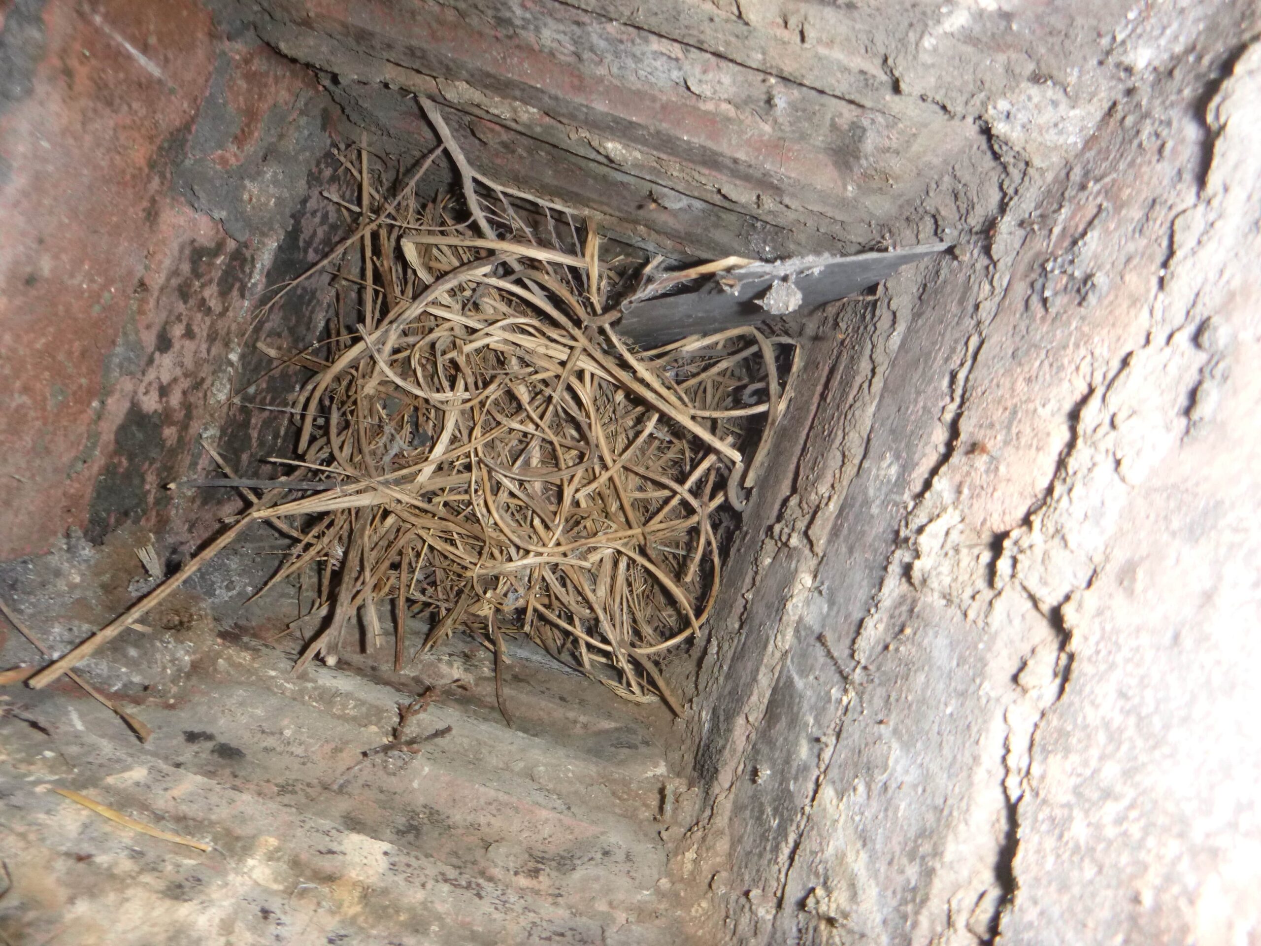 Animal nest and debris blockage inside a chimney in Seattle